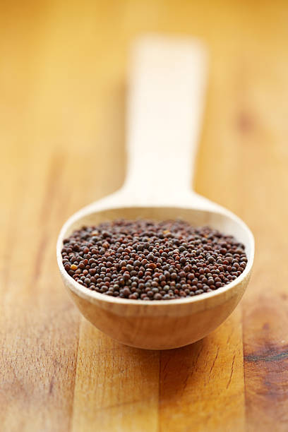  Common  Brown Mustard Seeds